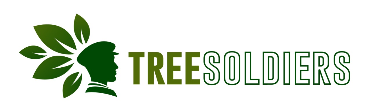 Tree Soldiers | Best Tree Services in Buffalo | 7163207799