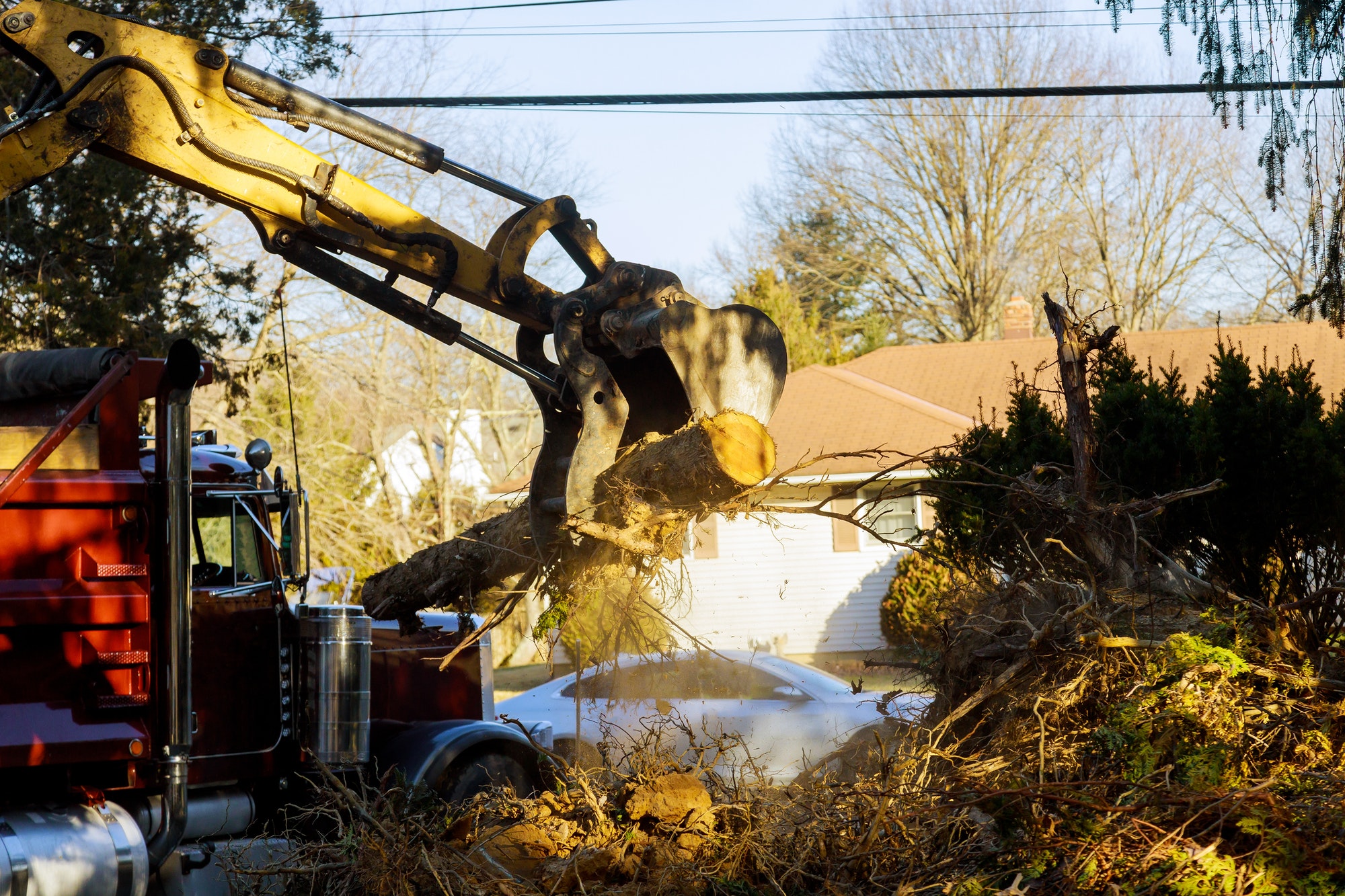 Service removes a tree branches stacked on ground with special tractor