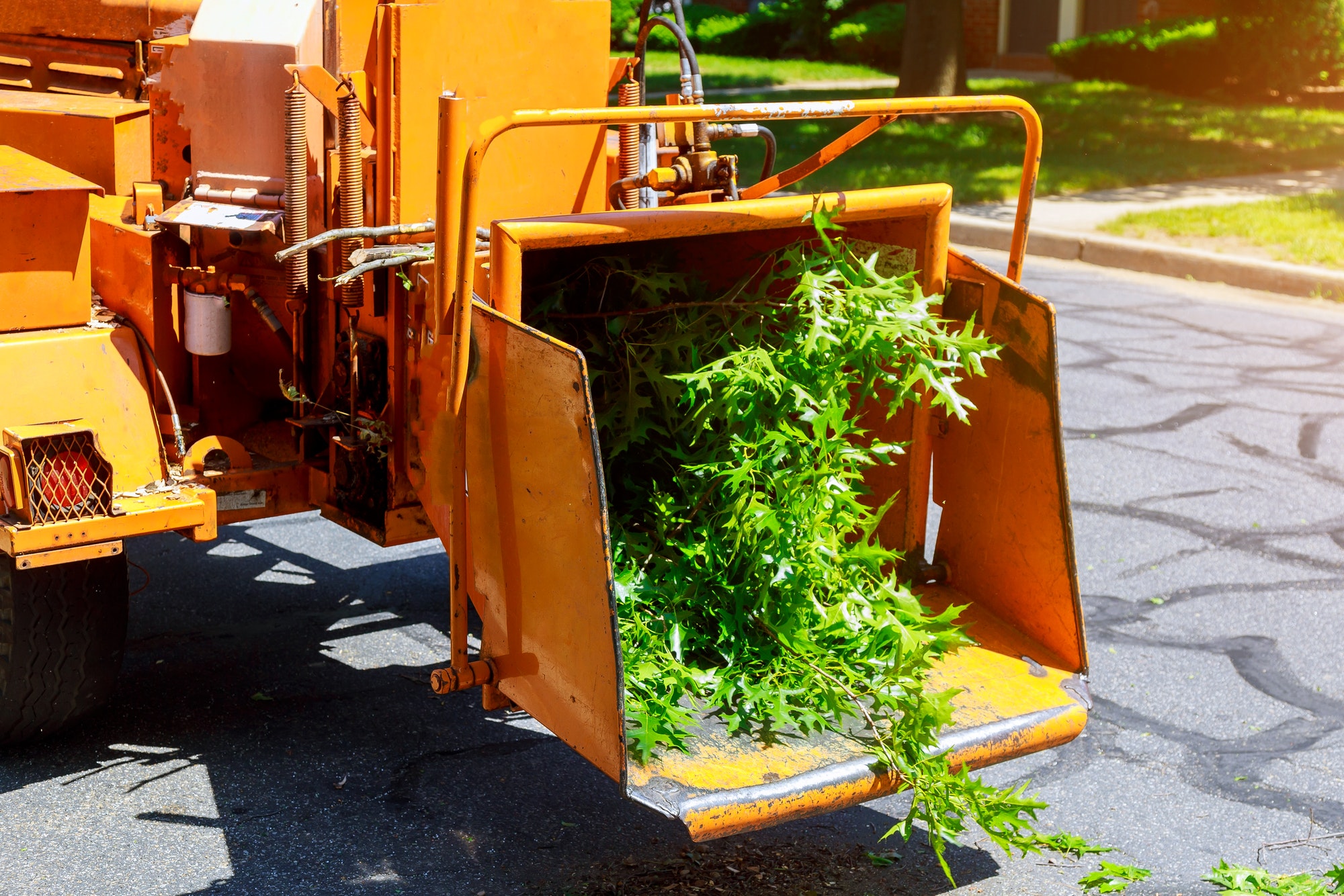 Using chipper machine to remove and chainsaw tree branches portable machine used