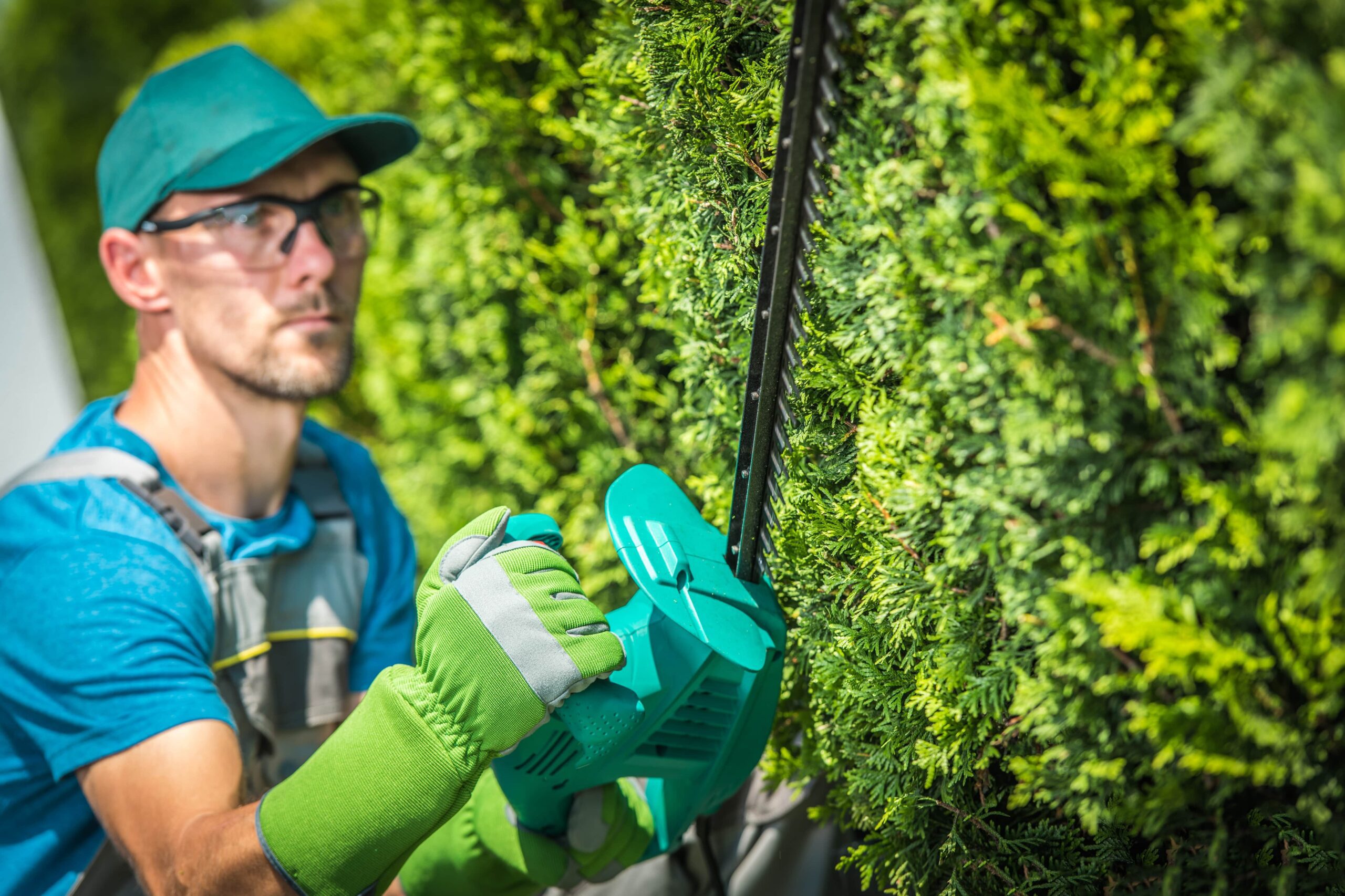 Tree Trimming