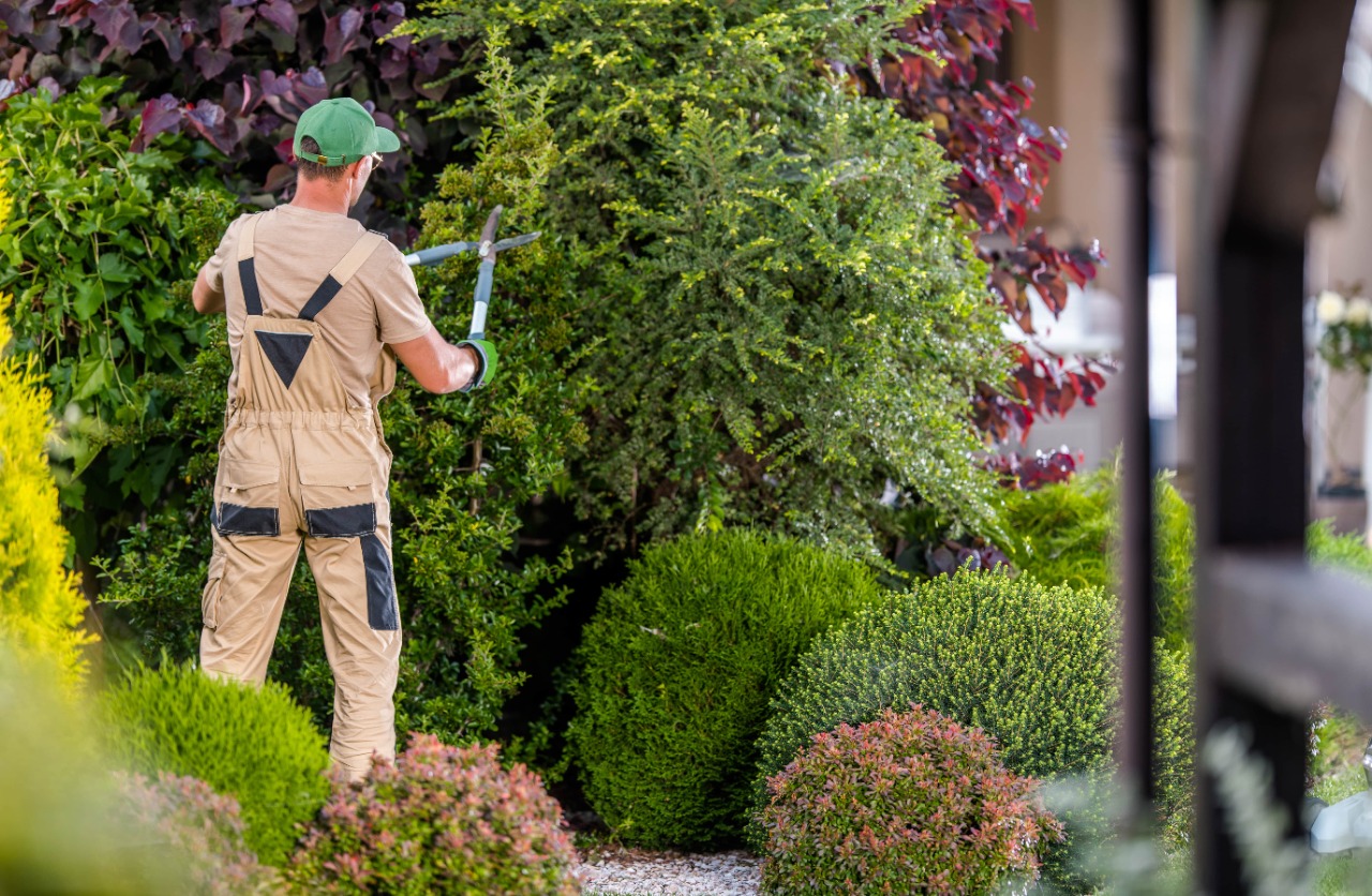 Tree Trimming Services