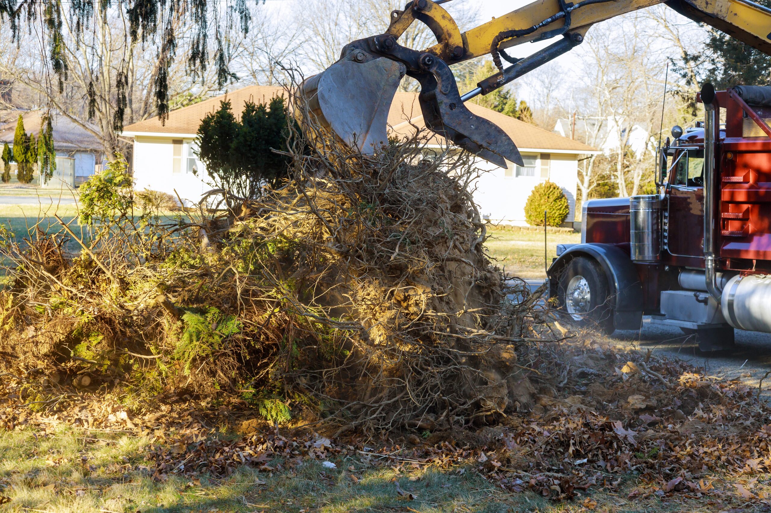 Stump Grinding Services