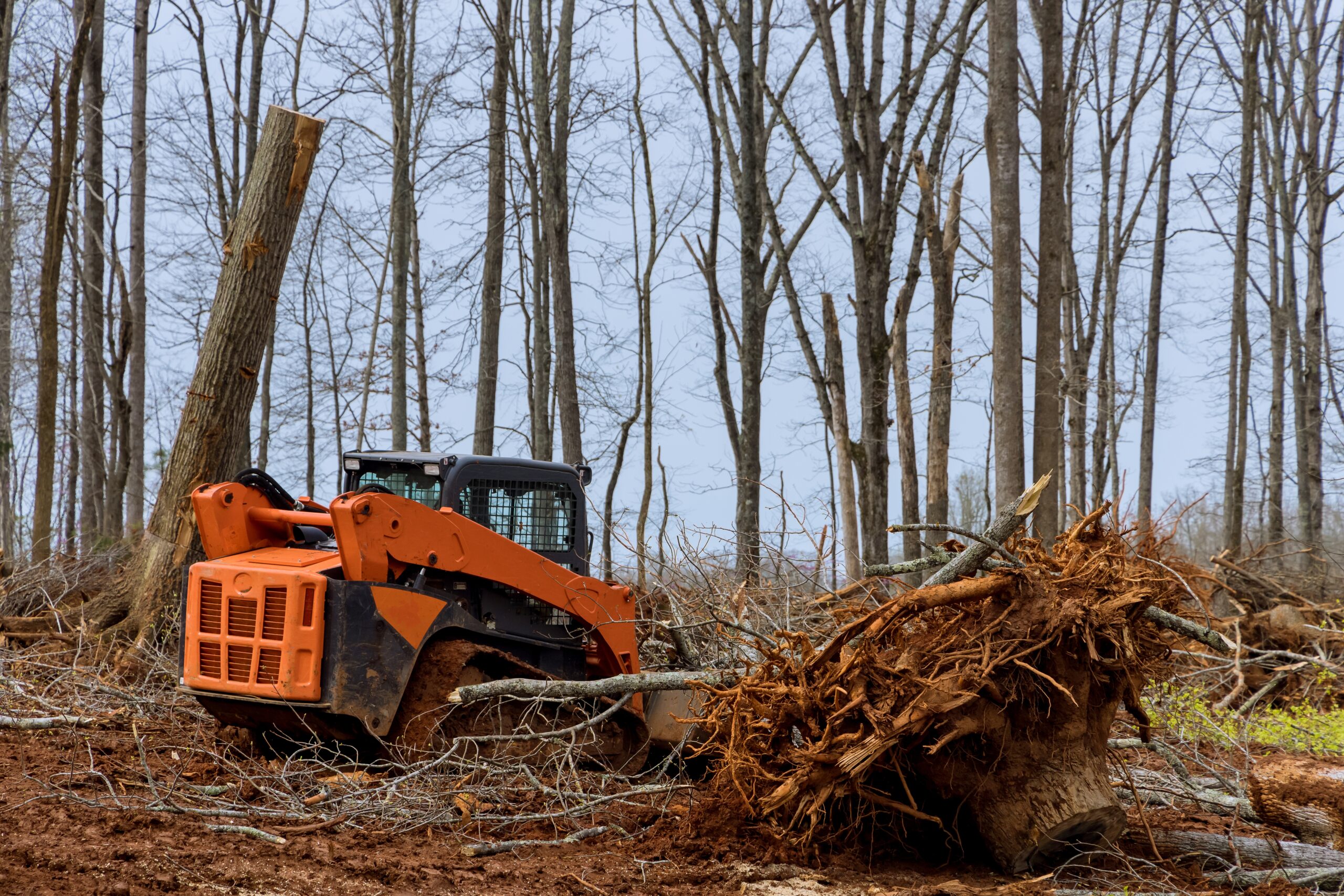 Land Clearing Contractors