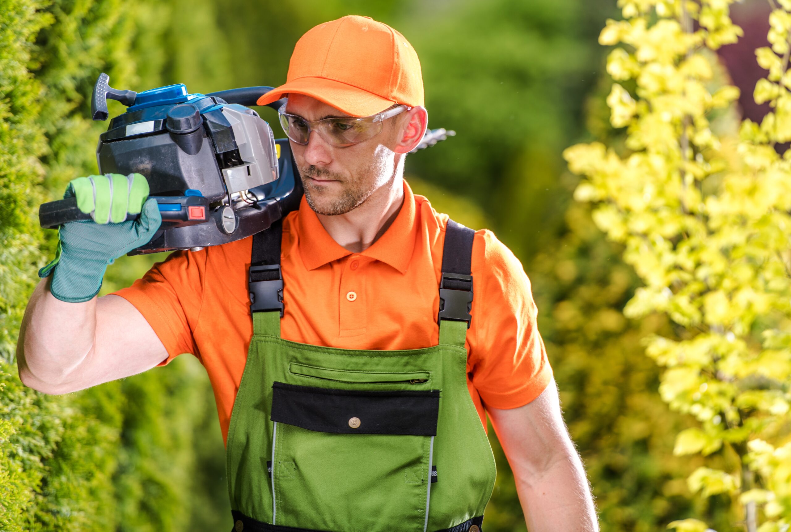 Tree Trimming Company buffalo NY