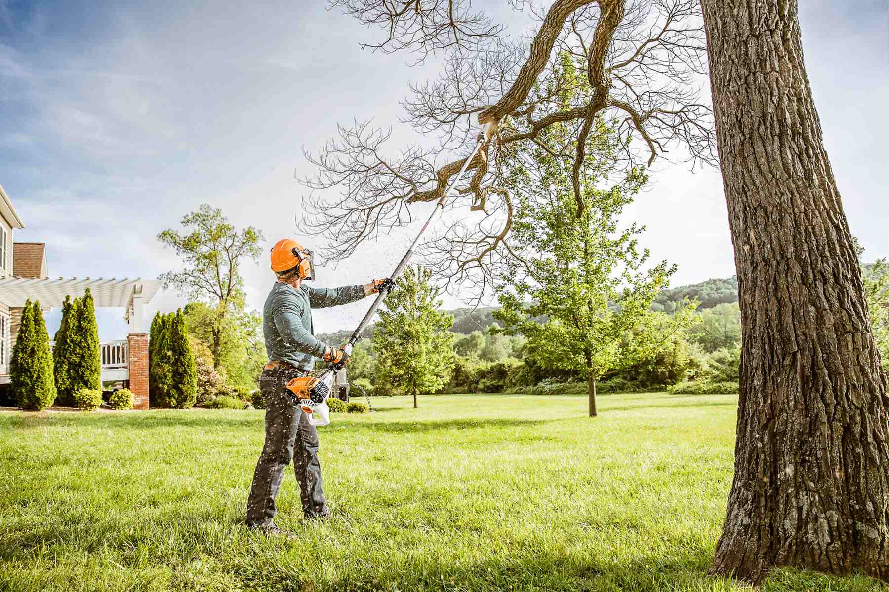 Tree Trimming Service Buffalo NY