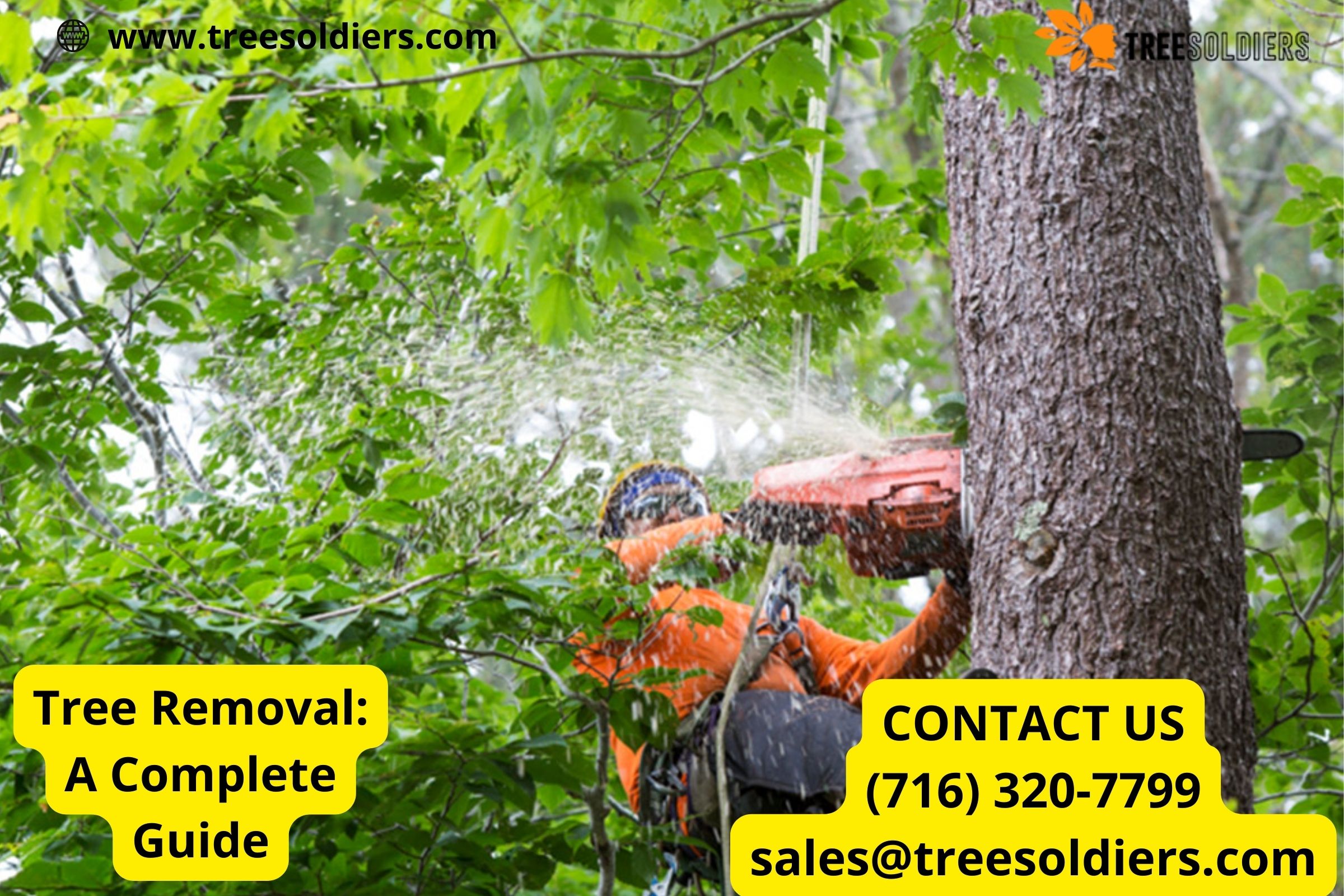 tree removal Buffalo NY