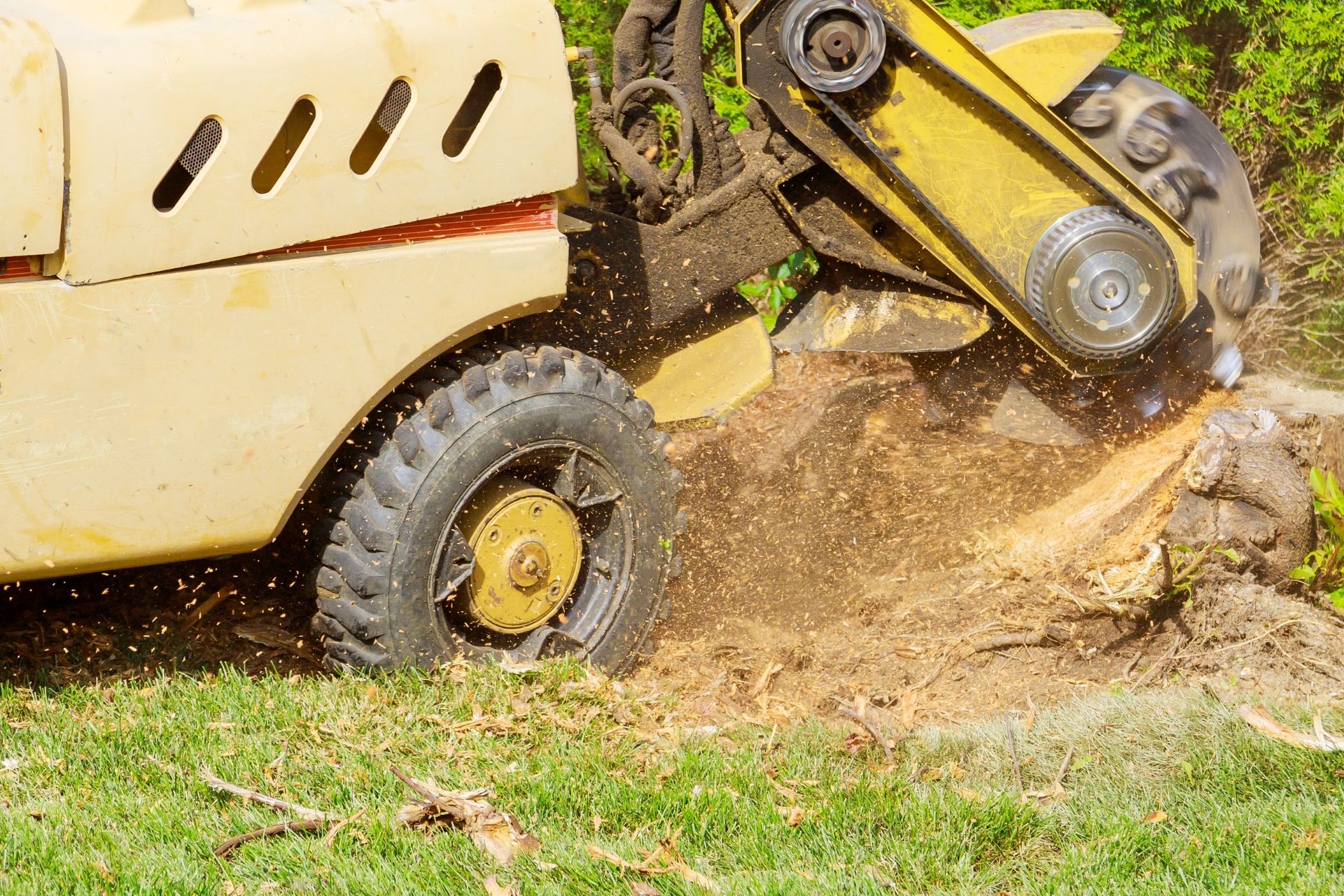 Unlocking the Secrets of Tree Stump Removal: The Power of Stump Grinding