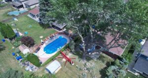 Tree Service Clarence NY