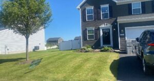 tree care services Depew, NY